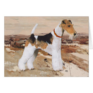 Fil Fox Terrier Automne