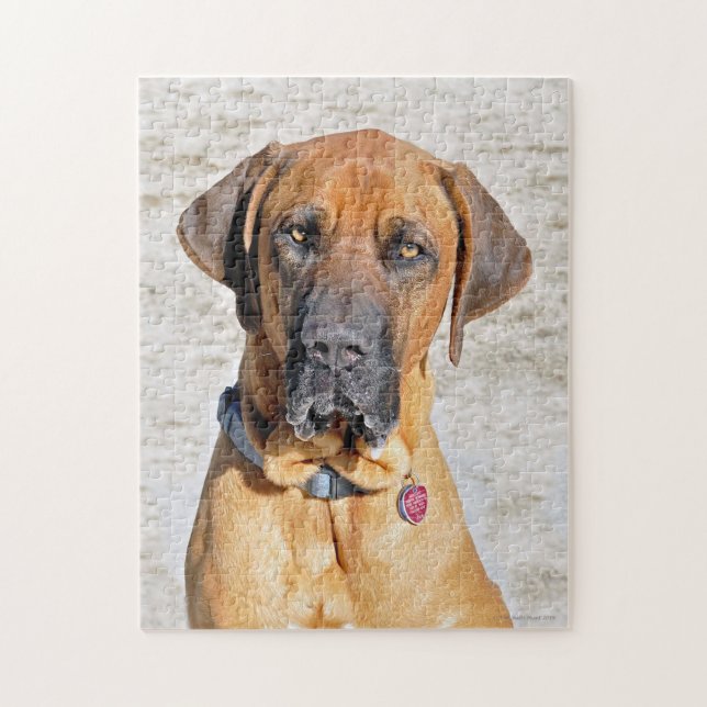 Fila Brasiliero Mastiff Jigsaw Puzzle (Vertikal)