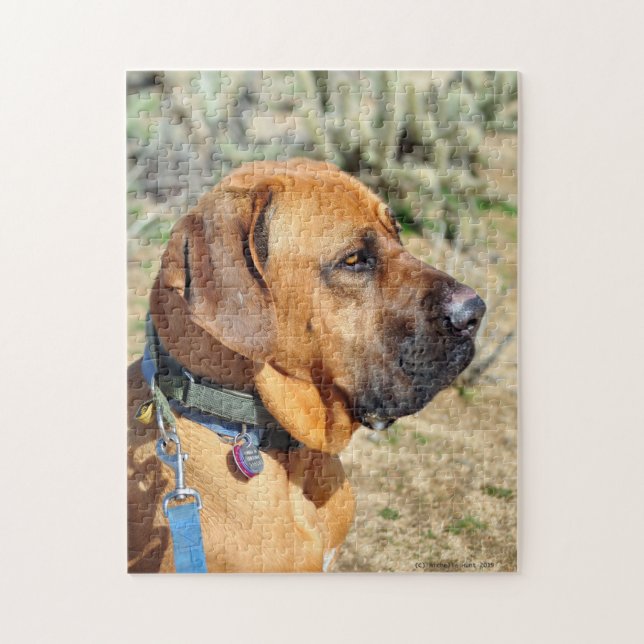 Fila Brasiliero Mastiff Puzzle (Vertical)