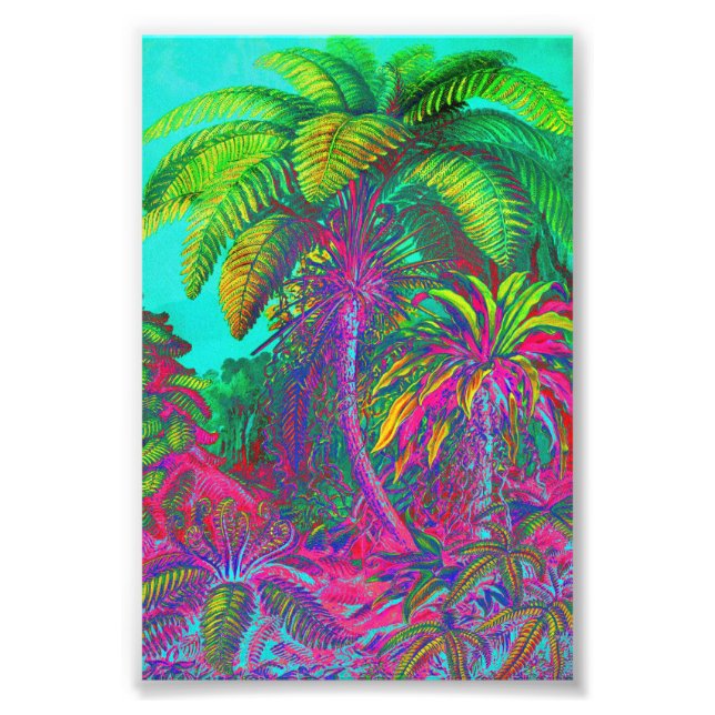 Filicinae Trees and Ferns Fotodruck (Vorne)