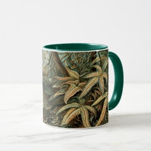 Filicinae von Ernst Haeckel, alte Farnpflanzen Tasse