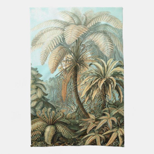 Filicinae von Ernst Haeckel, Vintage französische  Geschirrtuch (Vertikal)