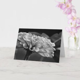 Filigran   Naturfotografie Blank Karte