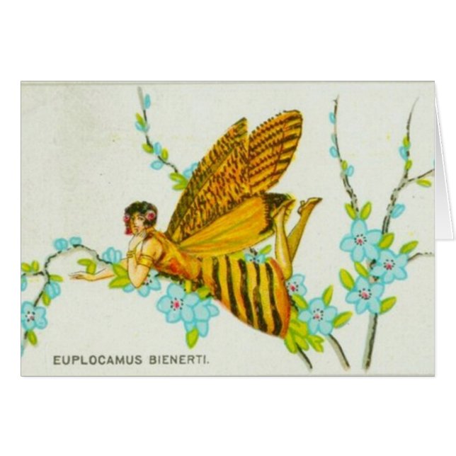 Fille de papillon d'or (Devant horizontal)