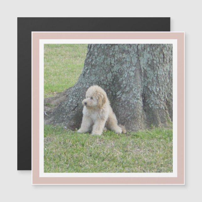 Fille Modèle photo personnalisée Rose Magnet moder (Devant / Derrière)