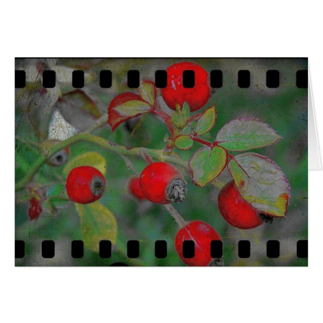 Film rose 2 (Devant horizontal)