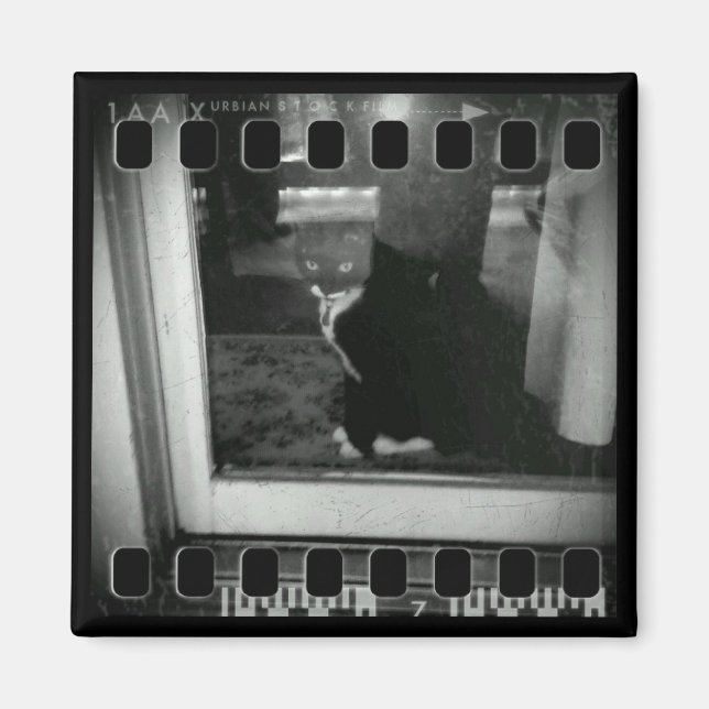 Filmstreifen Lucy Magnet (Vorne)