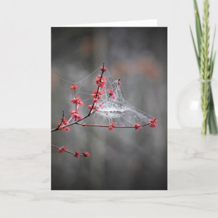 Fils de ressort, carte