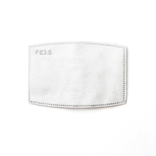 Filtres de masques de visage PM 2,5 (Single)