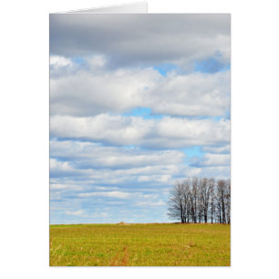 Fin de la ligne d'arbre