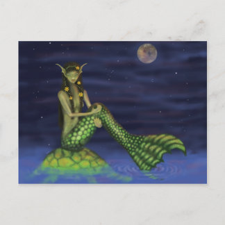 Fin Dipping Mermaid auf Schildkrötenrückseite Postkarte