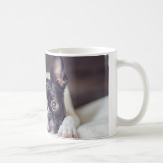 Fina das Boston Terrier Kaffeetasse