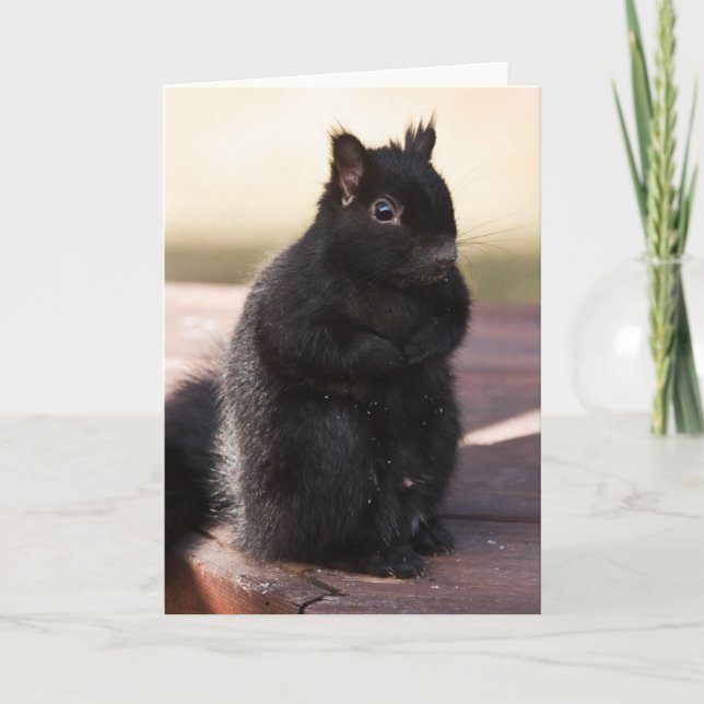 Finally Friends Karte (Vorderseite)