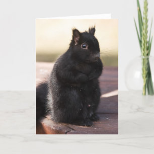 Finally Friends Karte