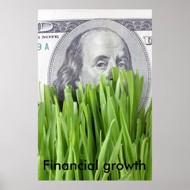 Financial growth poster (Vorne)