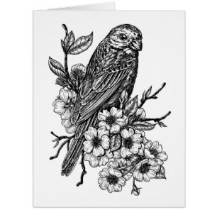 Finch auf Kirschzweig