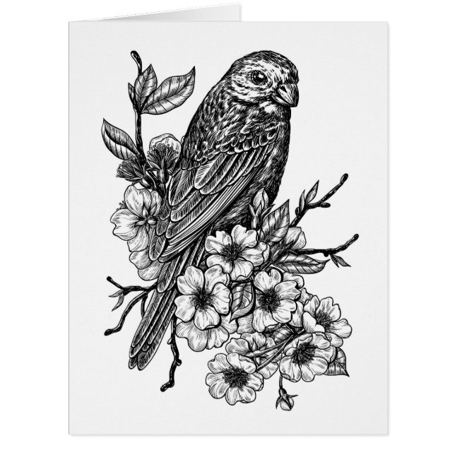 Finch auf Kirschzweig (Vorderseite)