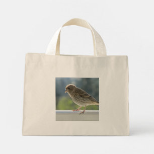 Finch in der Morgensonne. Mini Stoffbeutel