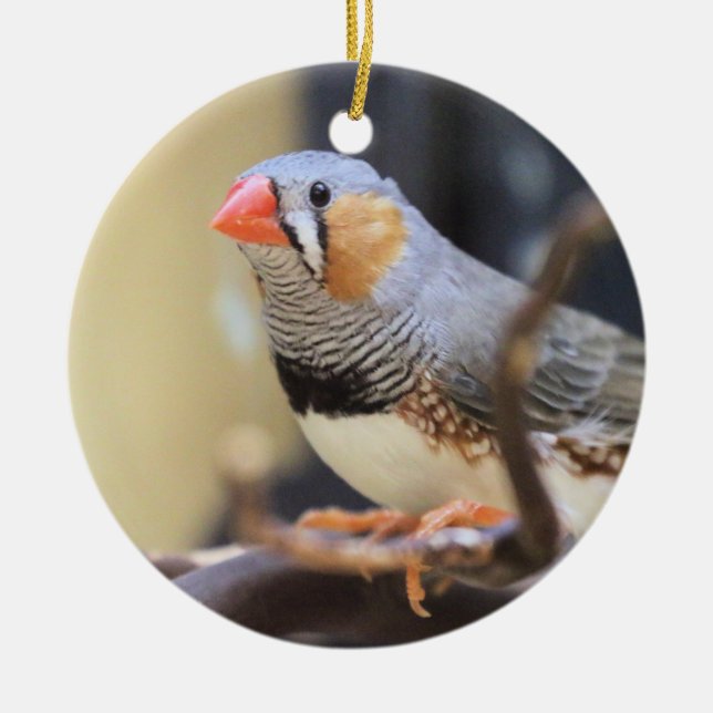 Finch Keramik Ornament (Vorne)