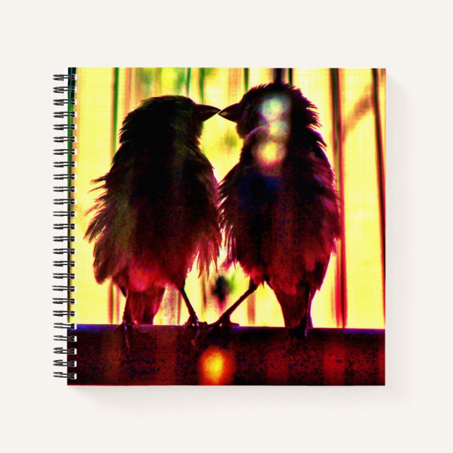 Finch-Liebe Notizbuch (Vorderseite)