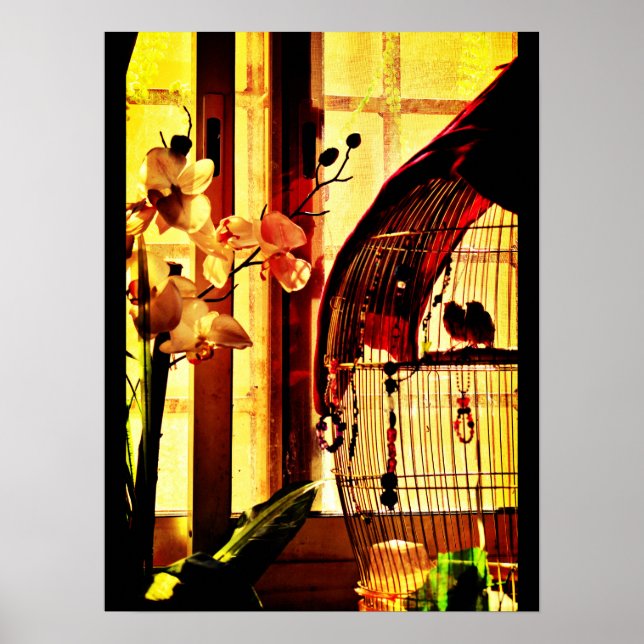 Finch-Liebe Poster (Vorne)