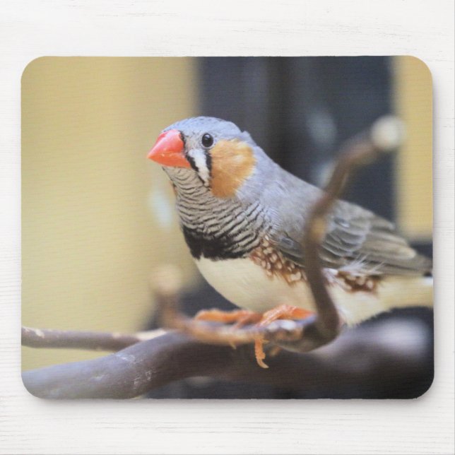 Finch Mousepad (Vorne)