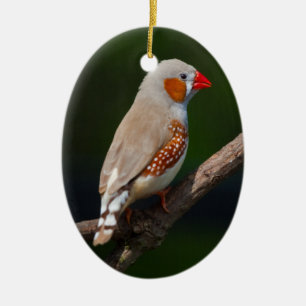 Finch Ornament