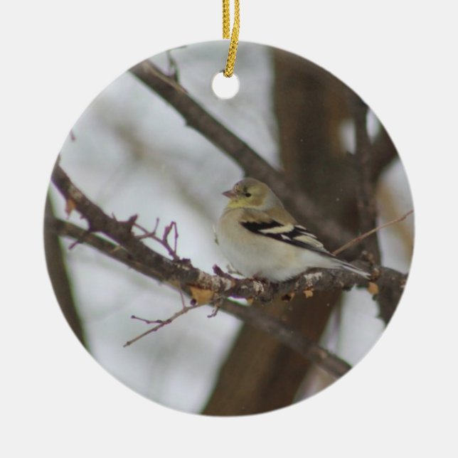 Finch Ornament (Vorne)