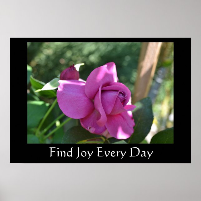 Find Joy Rose Inspirational Poster (Vorne)