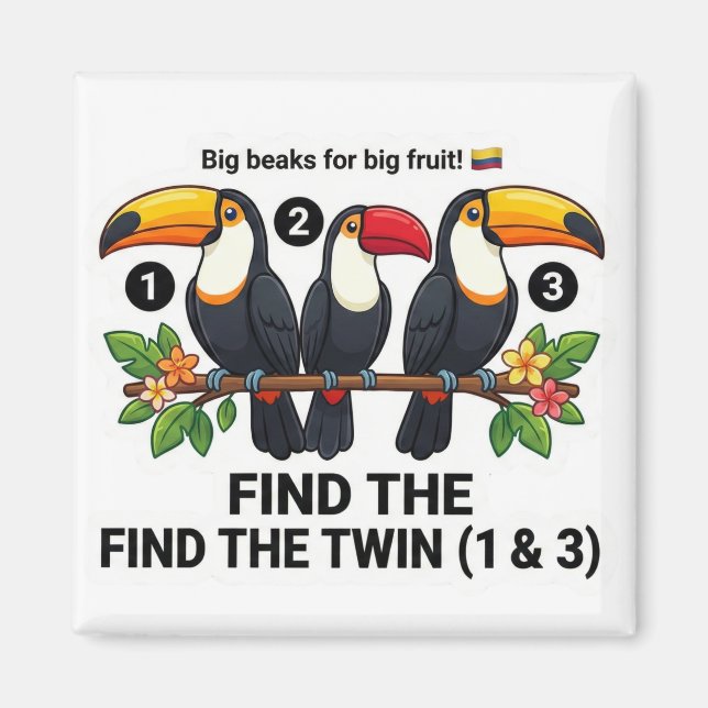 Find The Twin: Toucan Colombia Educational Matchin Magnet (Vorne)