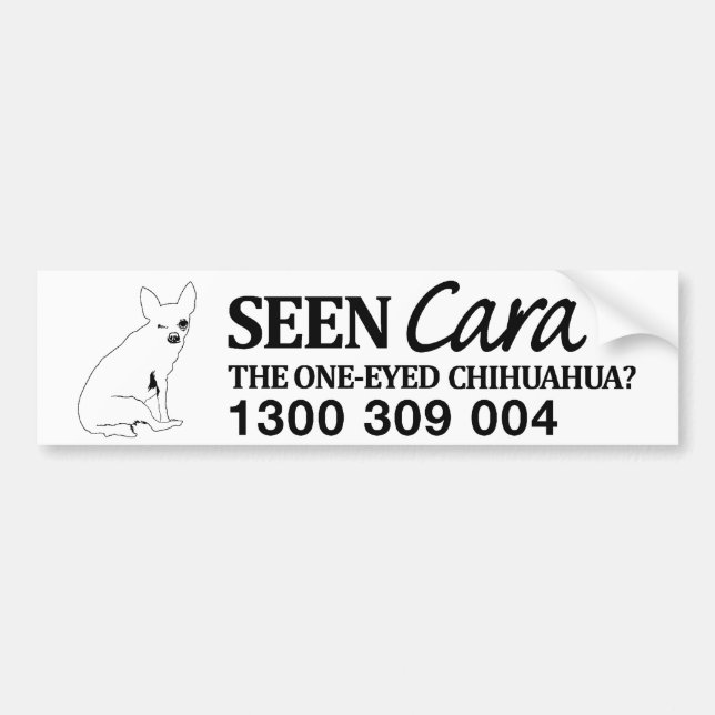 FindCara Autoaufkleber (Vorne)