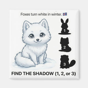 Finde den Schatten – Arktischer Fuchs Lernmagnet Magnet