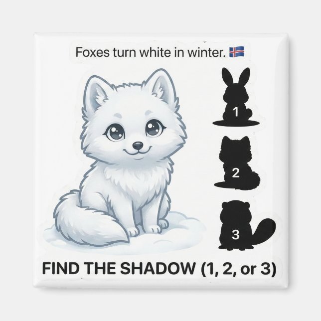 Finde den Schatten – Arktischer Fuchs Lernmagnet Magnet (Vorne)