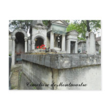 Finden Sie eine Katze! (Text)