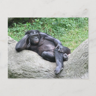 Findest du mich sexy? postkarte