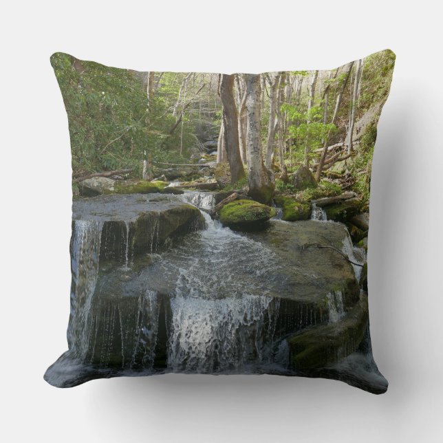 Findlay Falls I Kissen (Vorderseite)