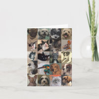 Fine Art Dog und Cat Dankeschön Karten