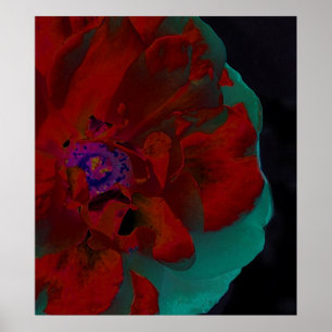 Fine Art Floral Poster