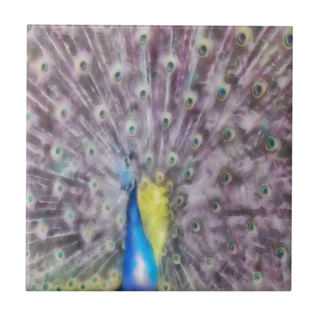 Fine Feather Peacock Paating Plumage Fliese (Vorderseite)