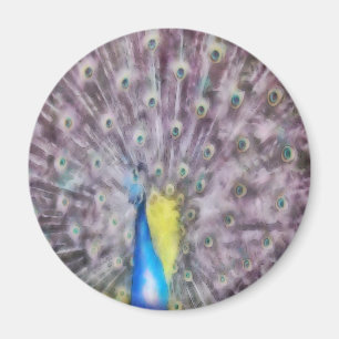 Fine Feather Peacock Paating Plumage Magnet