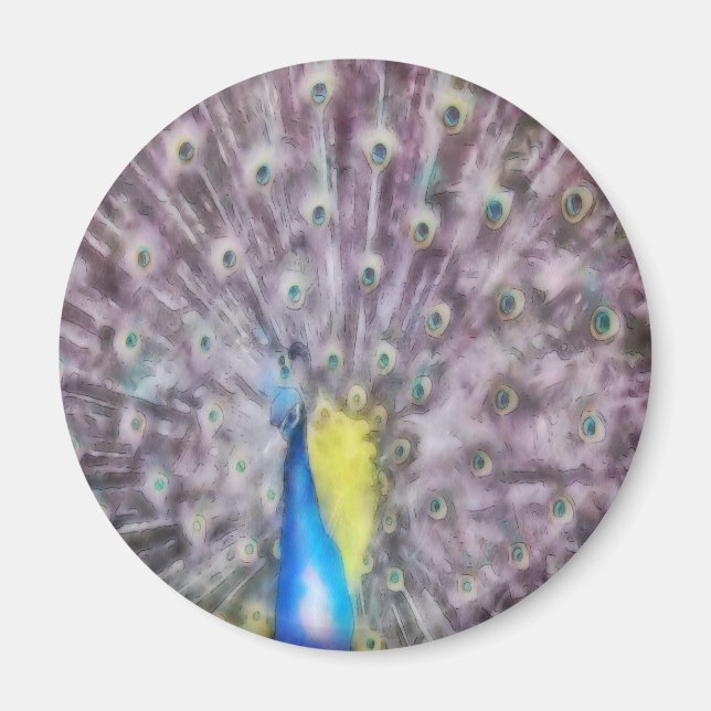 Fine Feather Peacock Paating Plumage Magnet (Vorne)