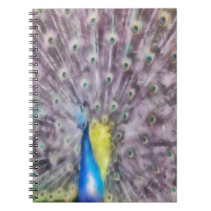 Fine Feather Peacock Paating Plumage Notizblock