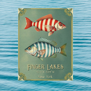 Finger Lakes New York nautischer Fisch Postcard Postkarte