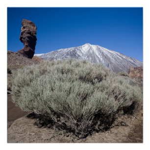 Finger of God Poster