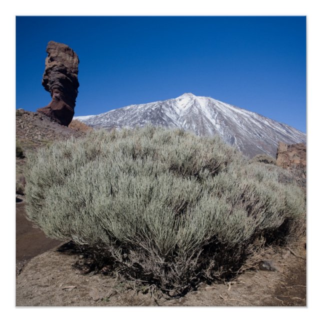 Finger of God Poster (Vorderseite)