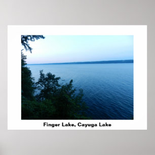 FINGER SEE CAYUGA LAKE Plakat