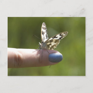 Fingerfliege Postkarte