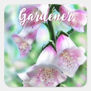 Fingerhut Blumen Floral Rosa Garten Personalisiert Quadratischer Aufkleber