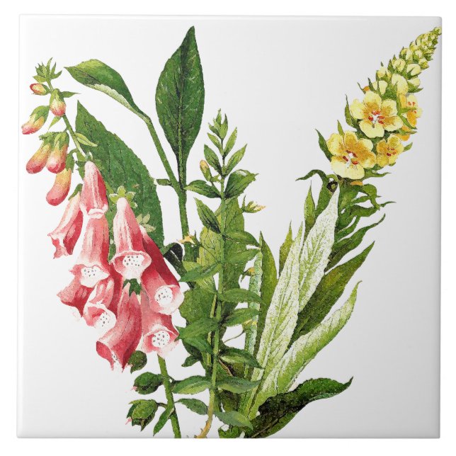 Fingerhut-BlumenBlumen-botanische Fliese (Vorderseite)