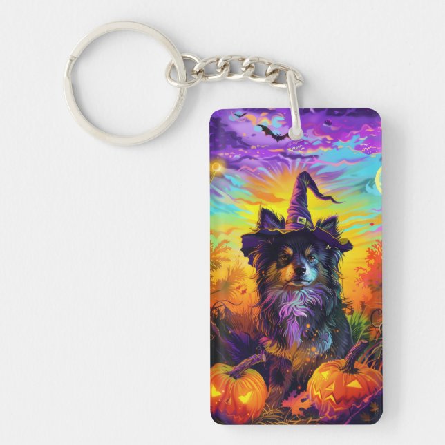 Finlandais Lapphund Chien Halloween sorcière et Ci (Devant)